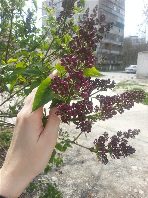 user posted image