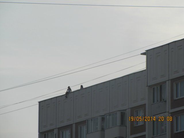 user posted image
