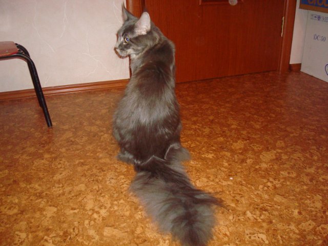 user posted image
