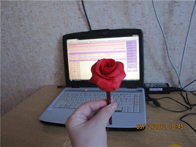 user posted image