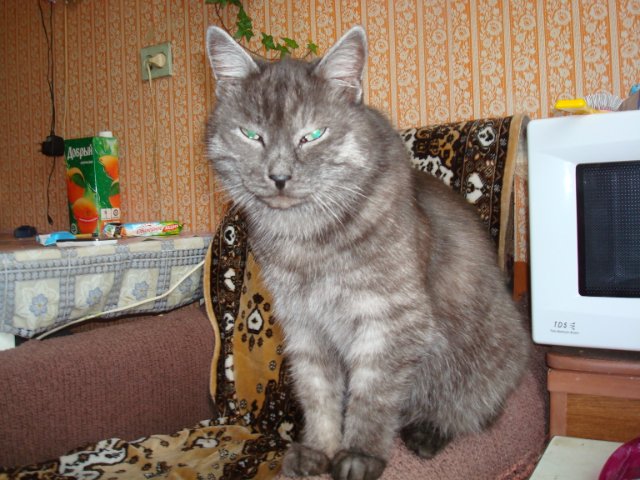 user posted image