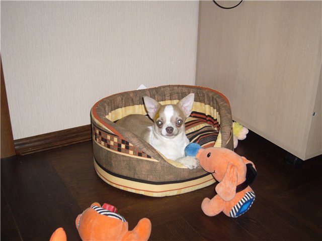 user posted image