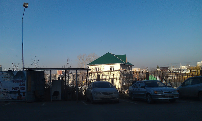 user posted image